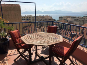 les terrasses du Suquet
